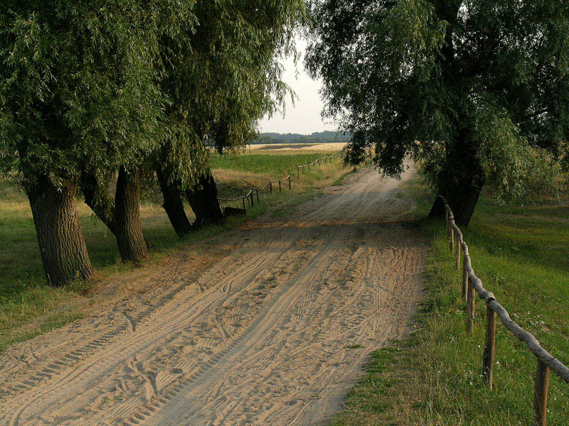 Jacek Kołcon