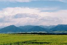 Widok na Niskie Tatry (SK)