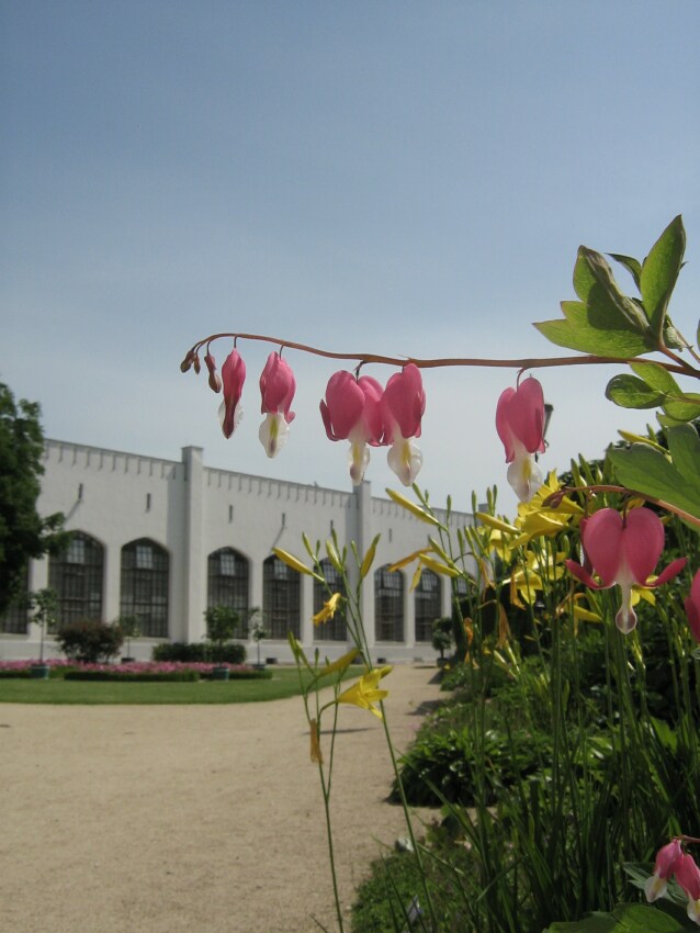 Oranżeria w Bad Muskau