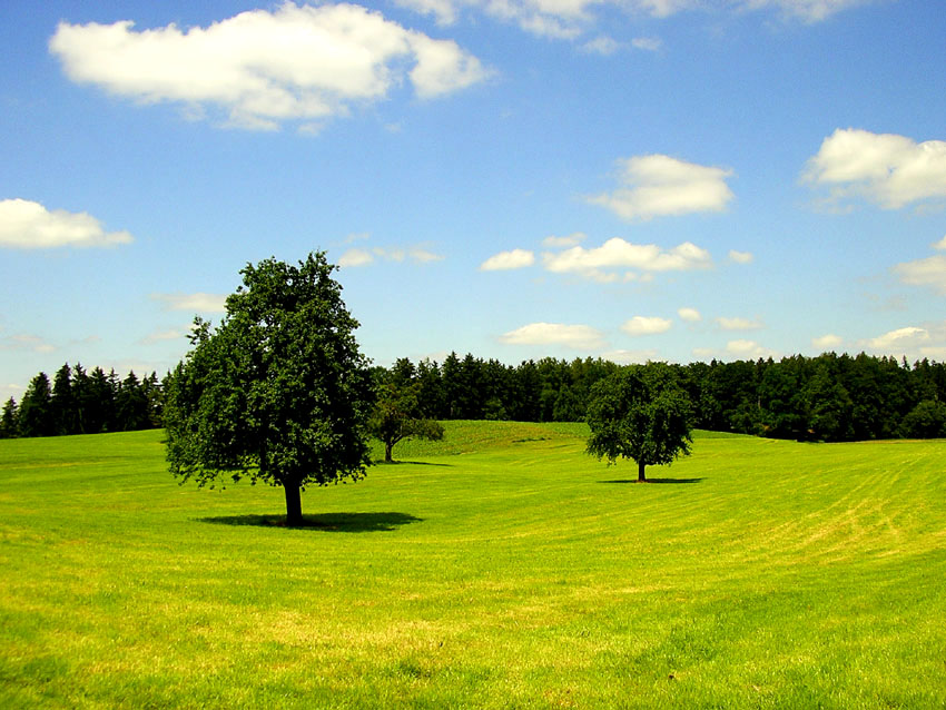 Mala wioska Gornhofen