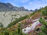 Kolorowe Tatry