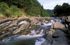 Bieszczady - Sine Wiry