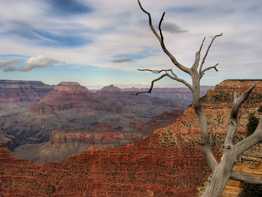 Grand Canyon 2007