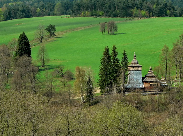 Wołowiec