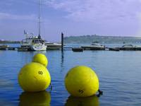 Cardiff Bay