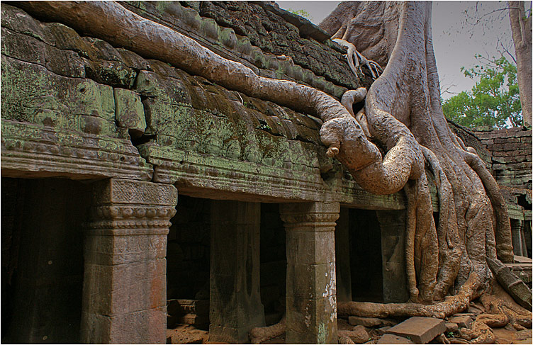 Ta Prohm (1186 n.e.)