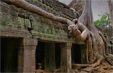 Ta Prohm (1186 n.e.)