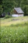 Bieszczady