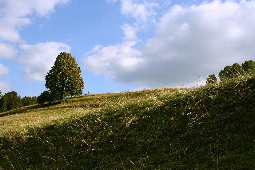 Beskid sadecki