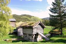 Skansen w Norwegii