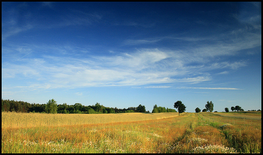 lubelszczyzna