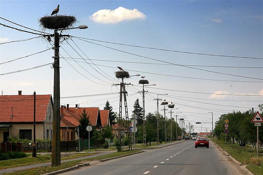 A to nie jest Polska właśnie...