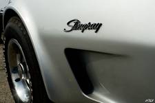 Stingray