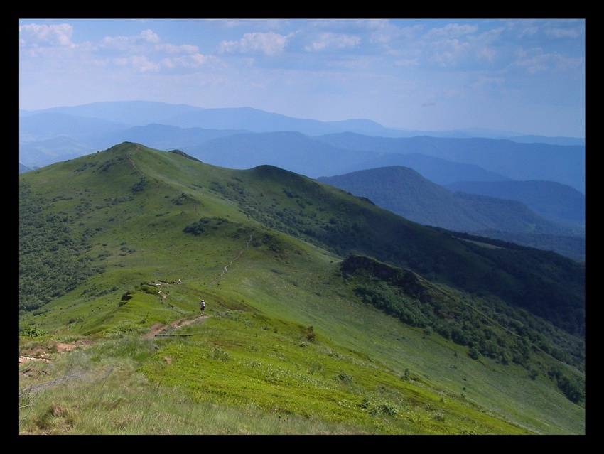 W kręgu Halicza