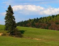 Beskid Niski