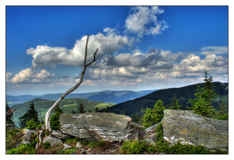 Widok ze Żmijowca