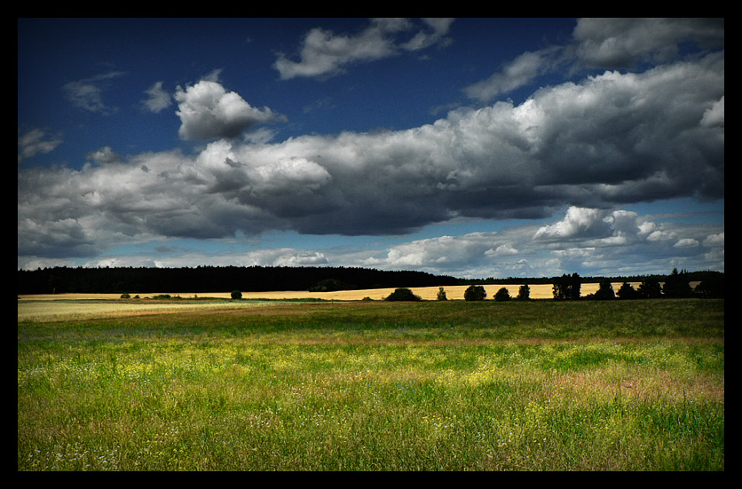 The Polish Landscape