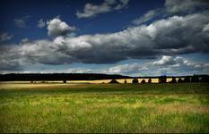 The Polish Landscape