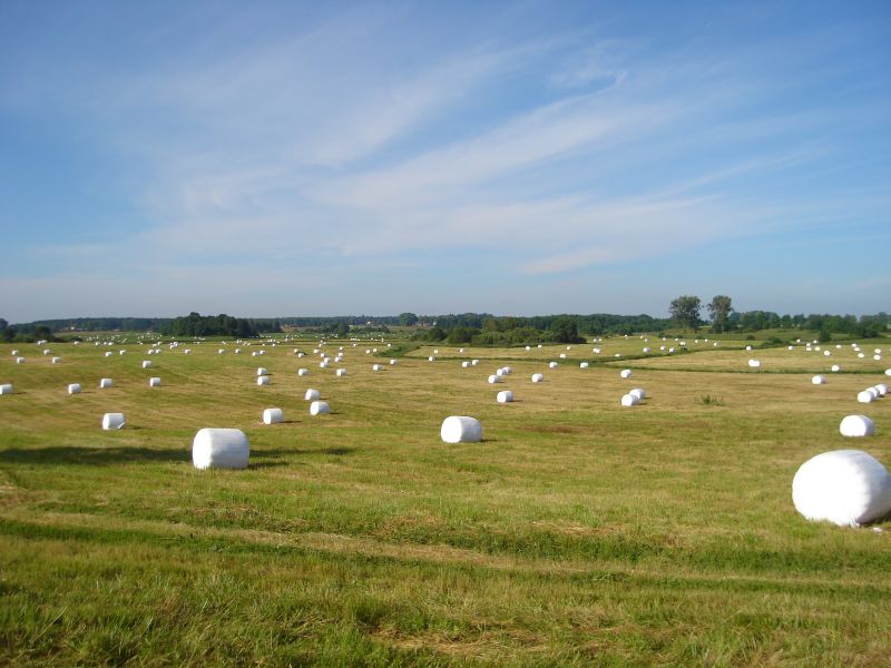 widok - pora letnia / słoneczna