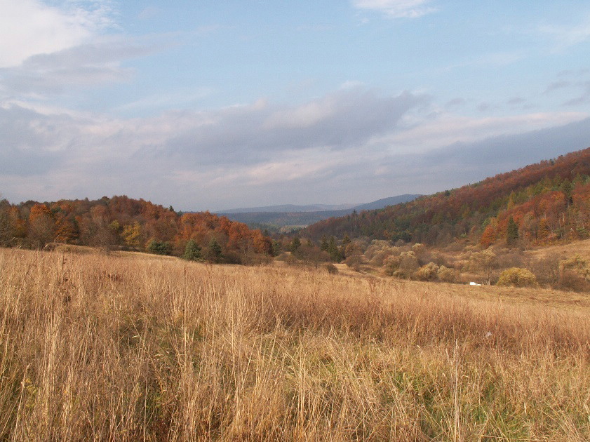 Beskid Niski