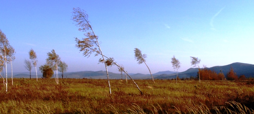 Magurski Park Krajobrazowy