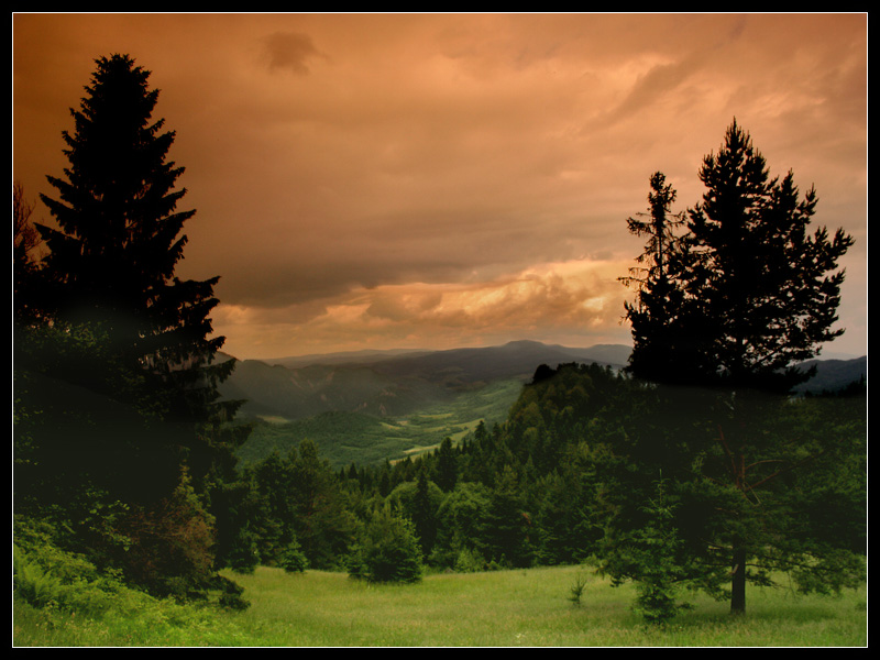 tabaczkowa polowka z widokiem na Tatry