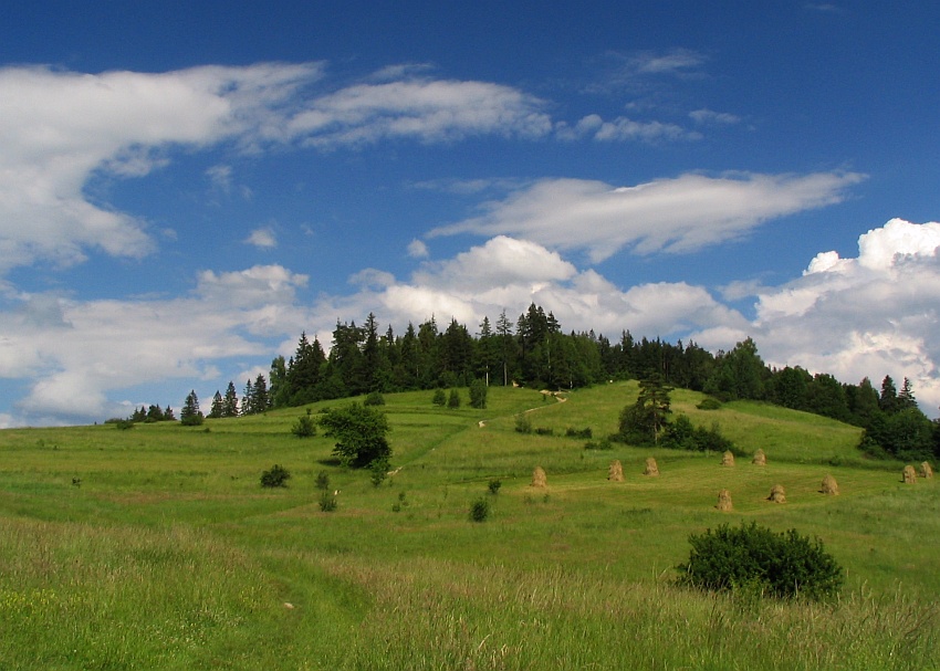 Zielono i chmurkowo