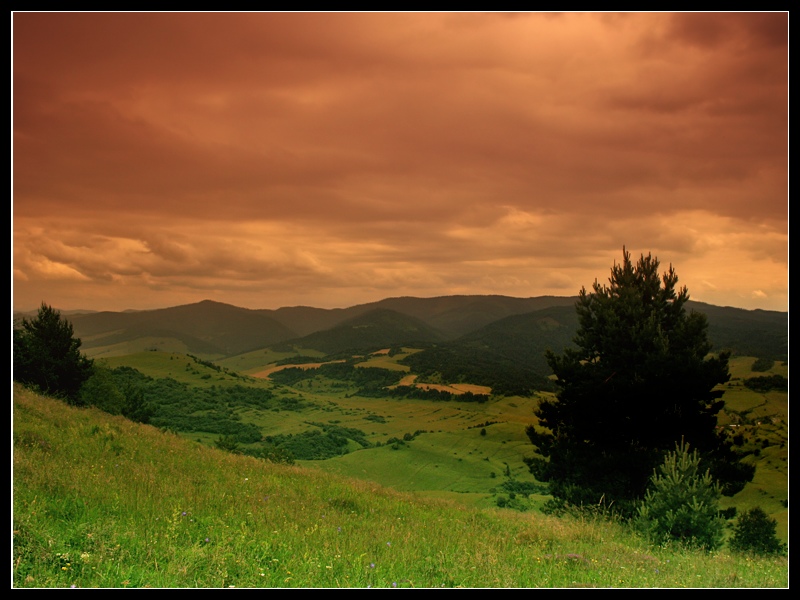 tabaczkowy widok na Tatry vol. 2