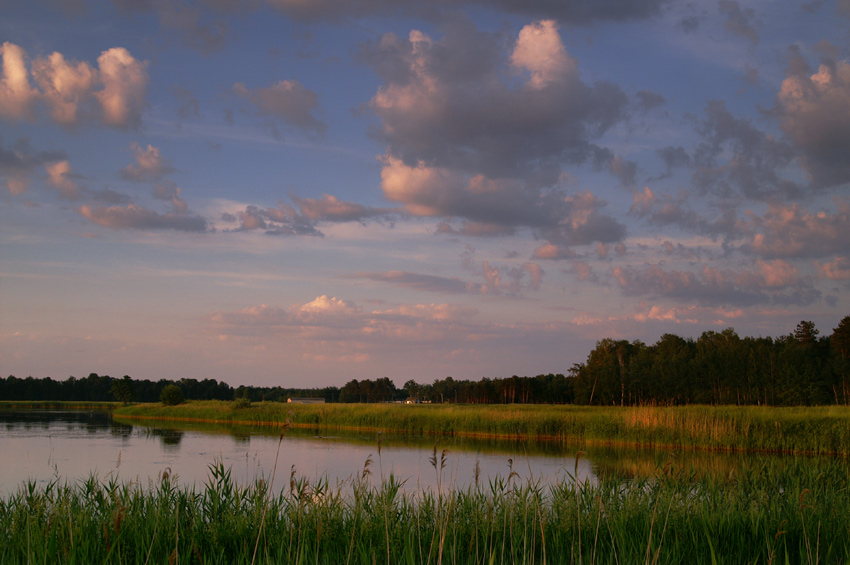 Wieczór nad stawami