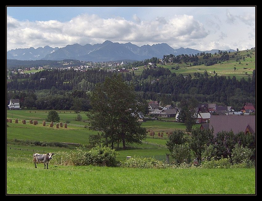 czarnogórski bajzlo-landszaft