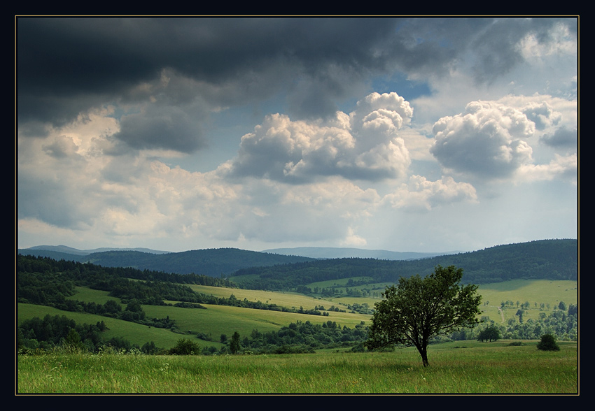 wiosenne wędrówki...III