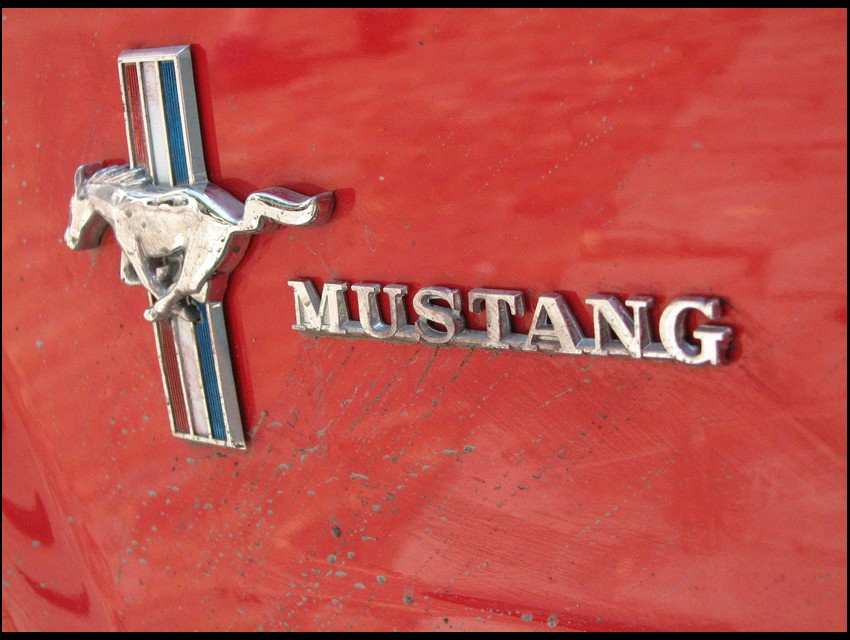 Mustang...