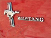 Mustang...