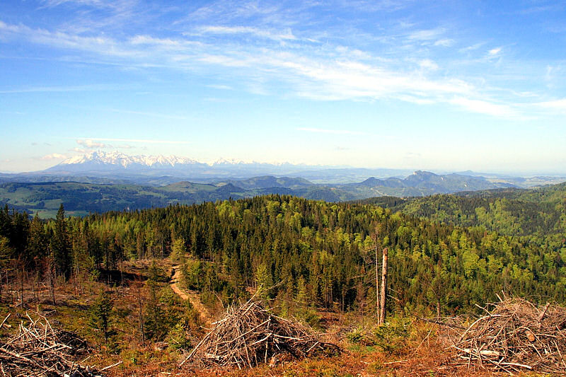 Pieniny i Tatry