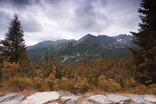 Tatry