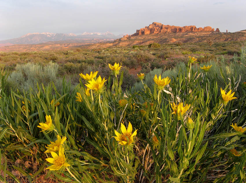 Arches National Park; USA