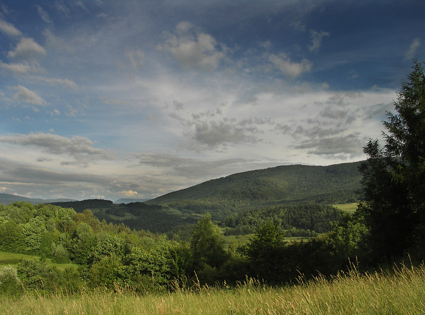 Widok na Kotoń- Beskid makowski