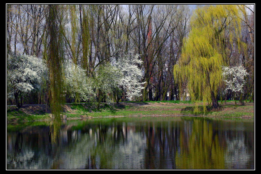 Tomaszów Maz.