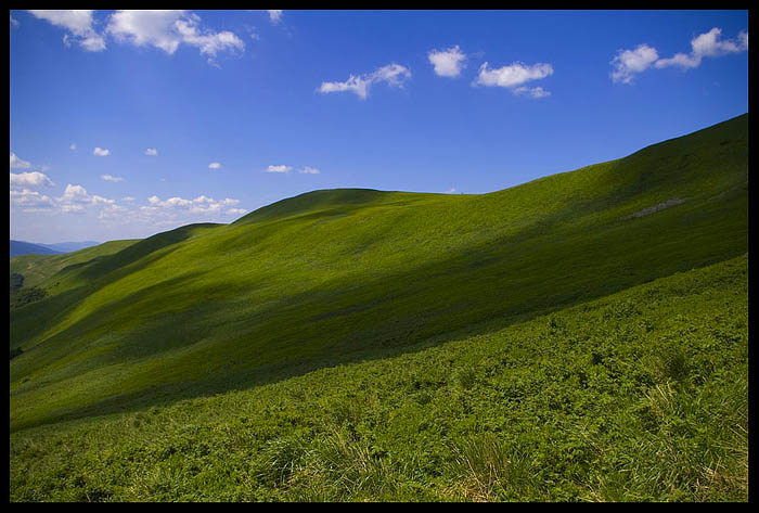 Green & Blue