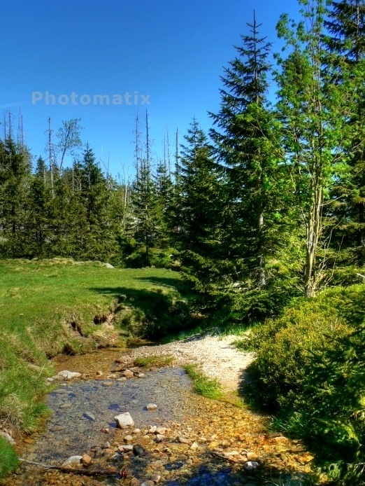 Karkonosze. Wrzosówka