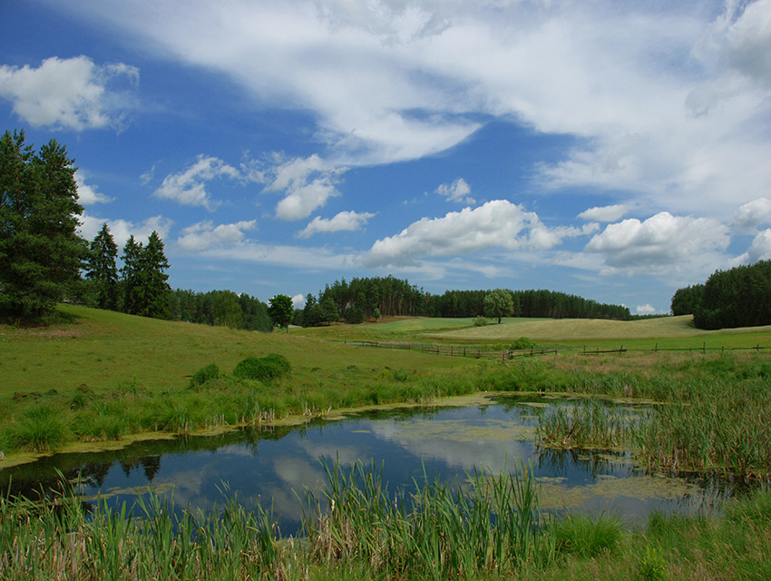 Kaszuby, czerwiec 2007