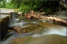 Bieszczady - Jeden ze strumyków na małej pętli