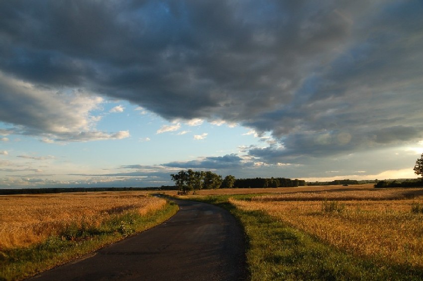 przed burzą