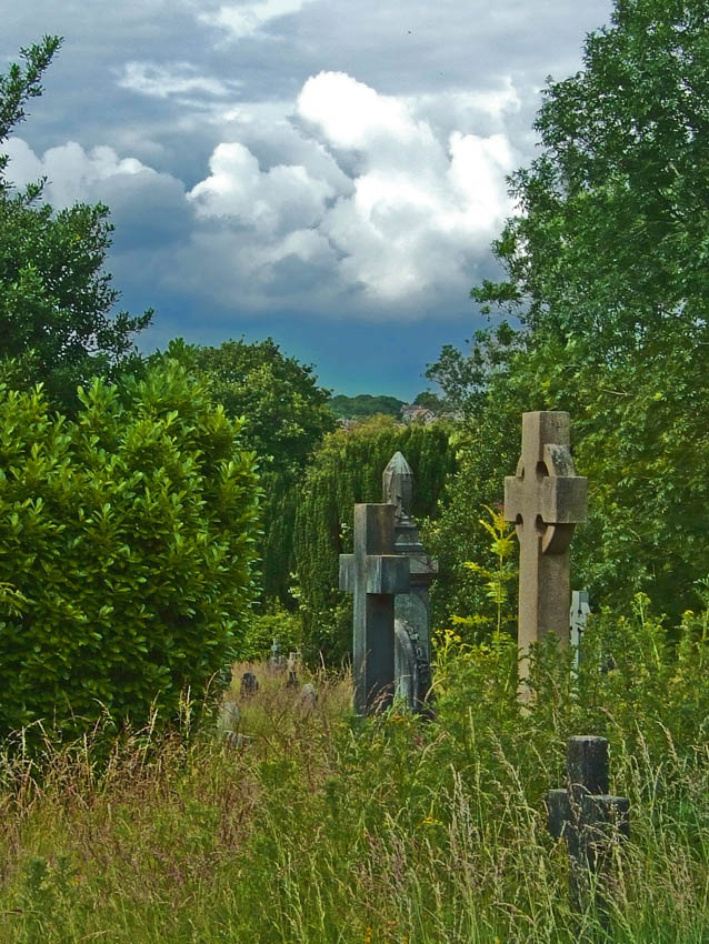 Old cementary Cardiff