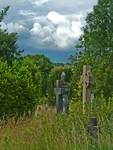 Old cementary Cardiff