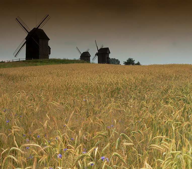 Wielkopolskie Klimaty