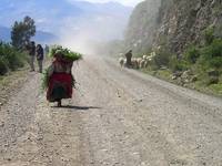 peru kanion colca