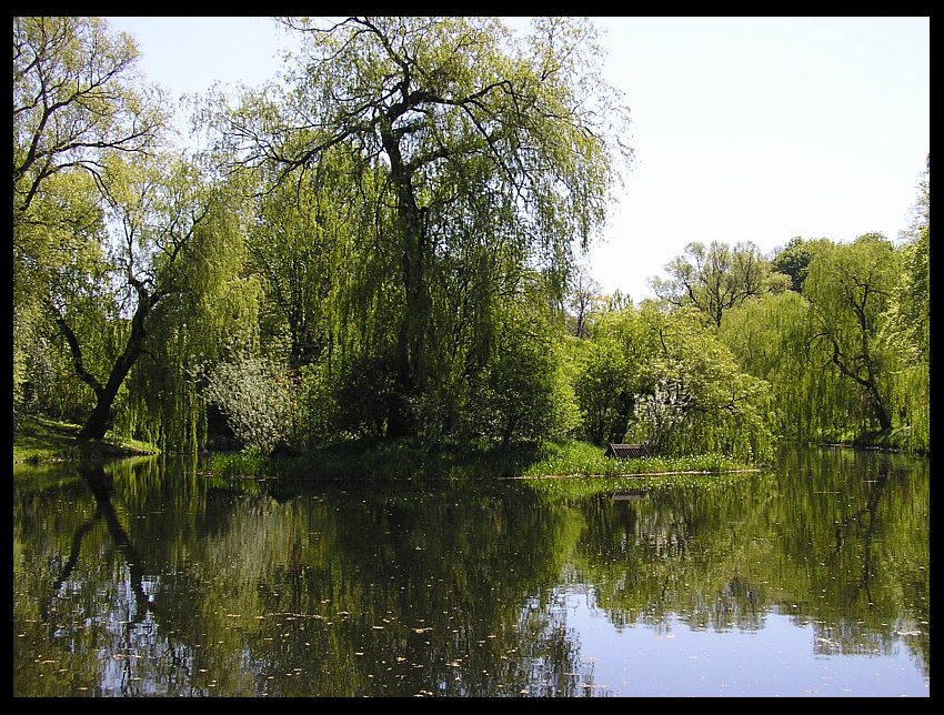 Koszaliński Park # 1