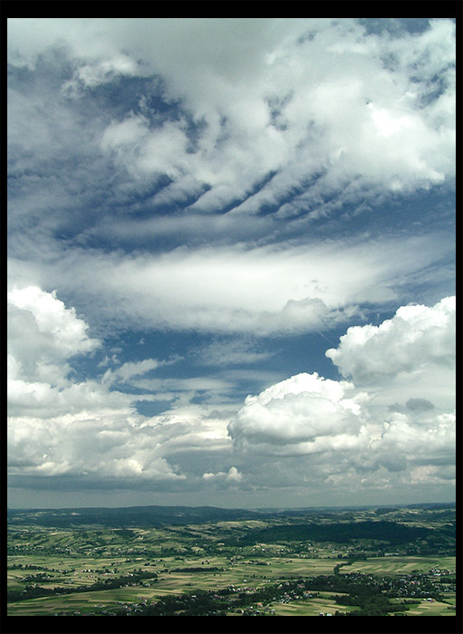 Łabędź...