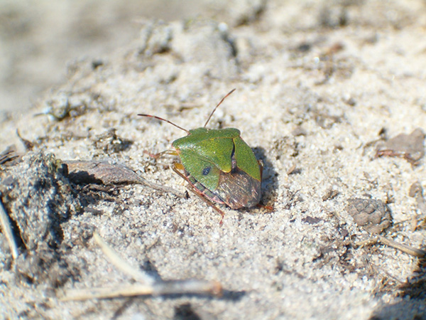 PHOTO-maniak